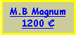 Text Box: M.B Magnum900 €