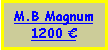 Text Box: M.B Magnum1200 